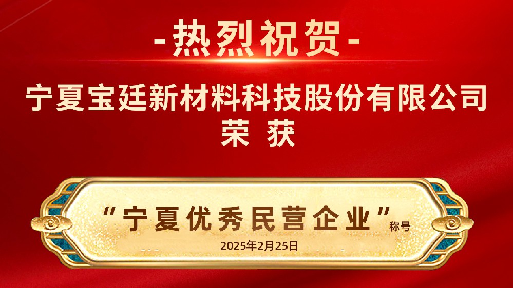 奋楫扬帆  笃实前行 |rb88热博荣获“宁夏优秀民营企业称号”